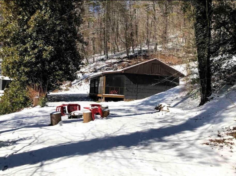 Cabin At The Cove At Watauga Lake Butler Bagian luar foto